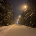 megiswildingg