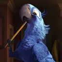 blufromrio