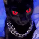 murkz1337