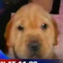 avatar ⭑｡𖦹°‧