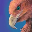 soaringgaruda
