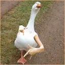 pablo0210
