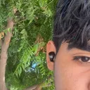 arielwn11