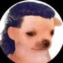 _kwzz