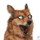 darkmielito23 avatar