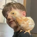 ty_koolcat