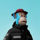roy.t
