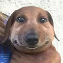 hgfhjgk6