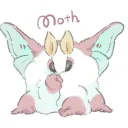 lotusthewriter