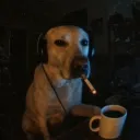 Аватар dur4ley_