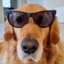 joshw0001