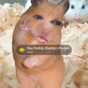 avatar 𝒩𝒶𝓂𝒾𝐵𝒶𝒷𝓎𝓎