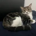 imhugo6777
