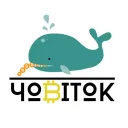qq_karogat