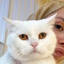 Zeynep ˣⁱᵒ
