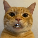 avatar Cat