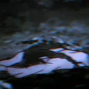 definitelycrow