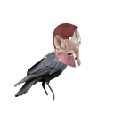 tilt_ps