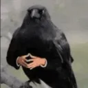 r_2v