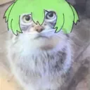 disauwu