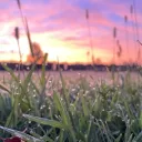 playinwitfiah avatar