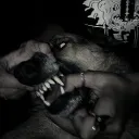 mastiffs. avatar