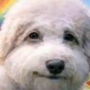 avatar White dog