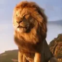 felixleon3329