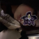 avatar ˖ ݁𖥔 ݁˖   𐙚   ˖ ݁𖥔 ݁˖