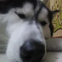 nothinghappen. avatar