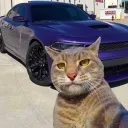 grgt