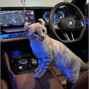 zetayga