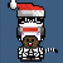 zebragod1639