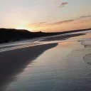 youra_twat.lol avatar