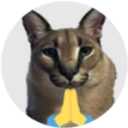 noobfloppa member profile picture