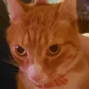 jackdatdoge avatar