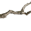 avatar Bobbobbobbobbobbobbobbobbobbob