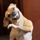 avatar Rafa 𓆩✧𓆪