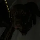 cutwrst