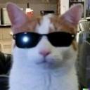 https://cdn.discordapp.com/avatars/934424734064578580/dd93b0bd7df9ec77a678b1dc051fc804.jpg?size=128