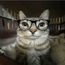 oussama4707 avatar