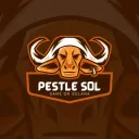 pestlesol6280
