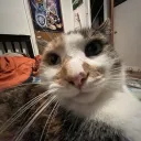 sparxz4365