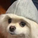 kyusokii