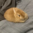 avatar call me stupid & dumb