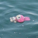 avatar 𝐒𝐢𝐭𝐤𝐚