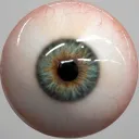 mandarin_x