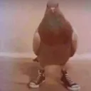 Аватар luchshiidrug6325