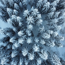 massimopasqualon383's Avatar