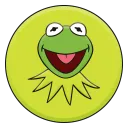 kermit098262